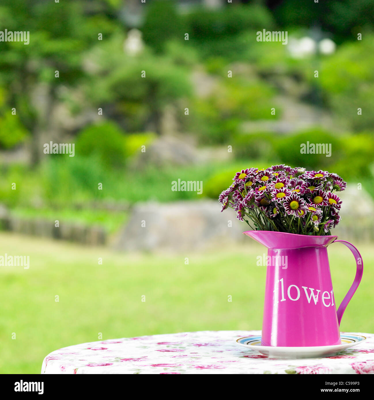 Nahaufnahmen von Blumen in vase Stockfoto