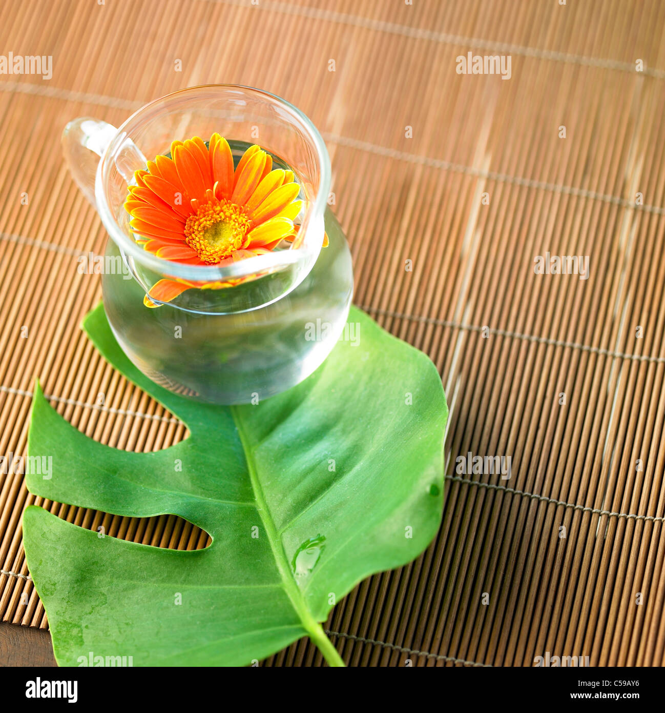 Nahaufnahme der Blüte in Glas auf Blatt Stockfoto