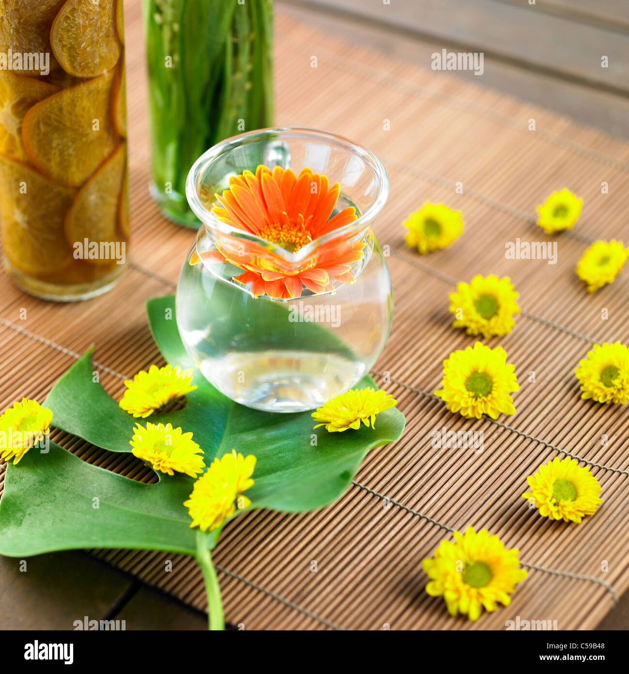 Nahaufnahme der Blüte in Glas auf Blatt Stockfoto