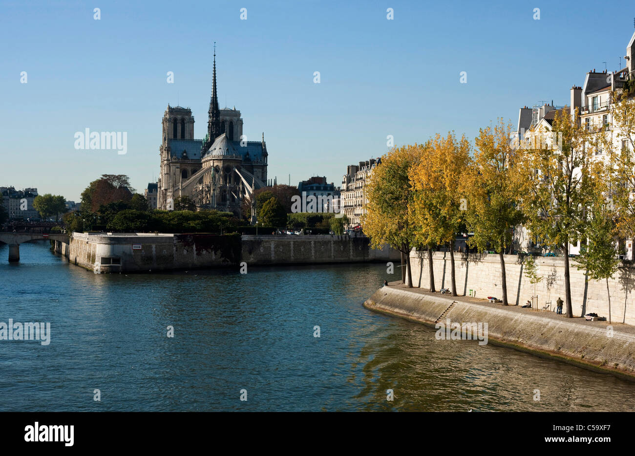 Rückseite von Notre-Dame. Paris. Frankreich Stockfoto