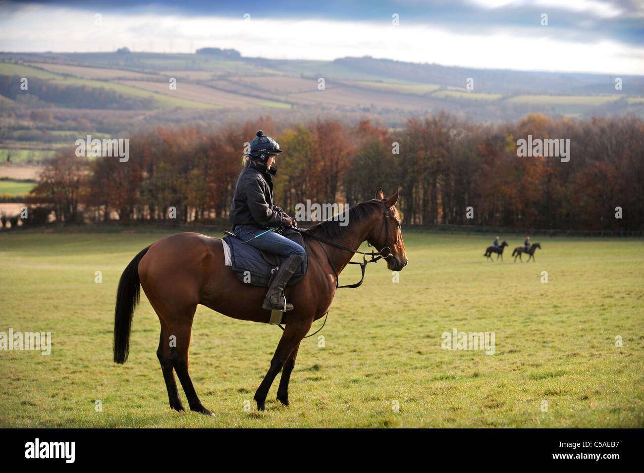 Arbeit Fahrer trainieren Rennpferde in einem Stall in Gloucestershire UK Stockfoto