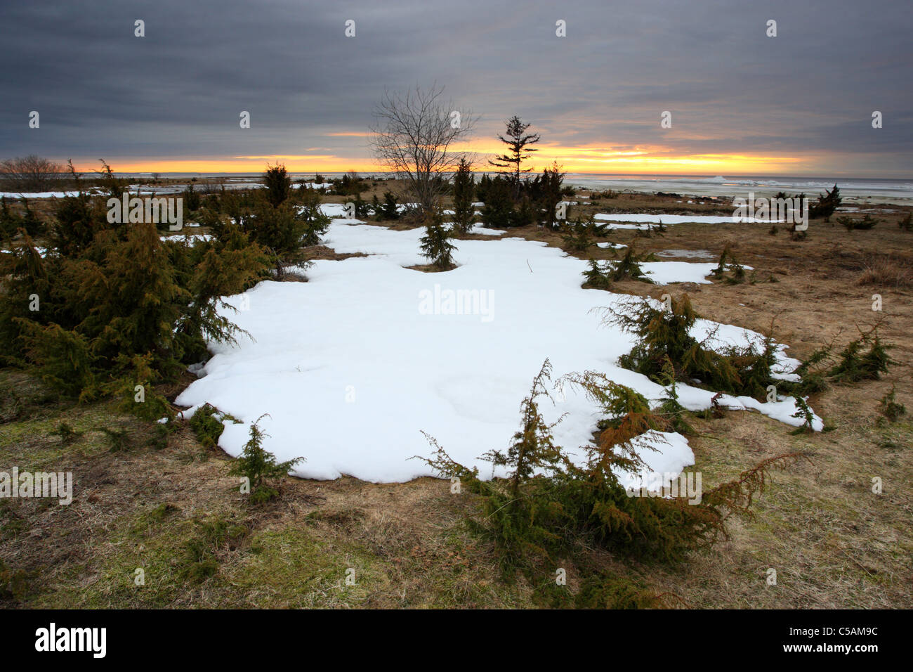 Schneeschmelze auf Puise Matsalu Natur Park, Estland Stockfoto