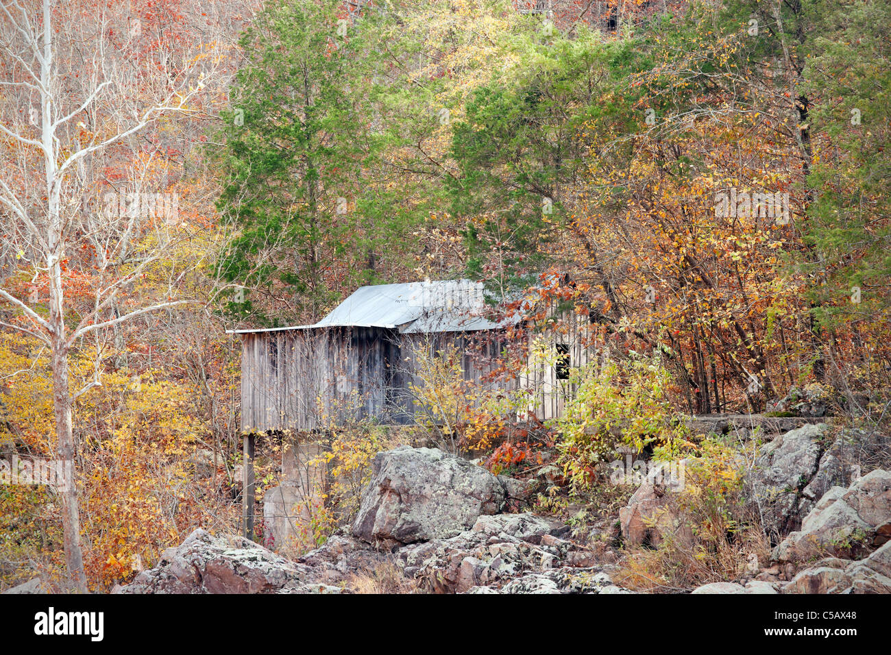 alten Siedler-Hütte im Wald in missouri Stockfoto