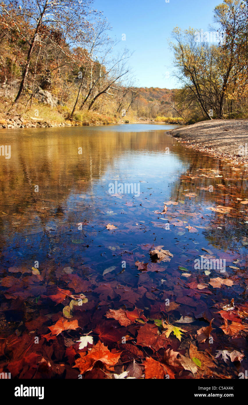 Herbstblätter im Wasser im aktuellen Fluss missouri Stockfoto