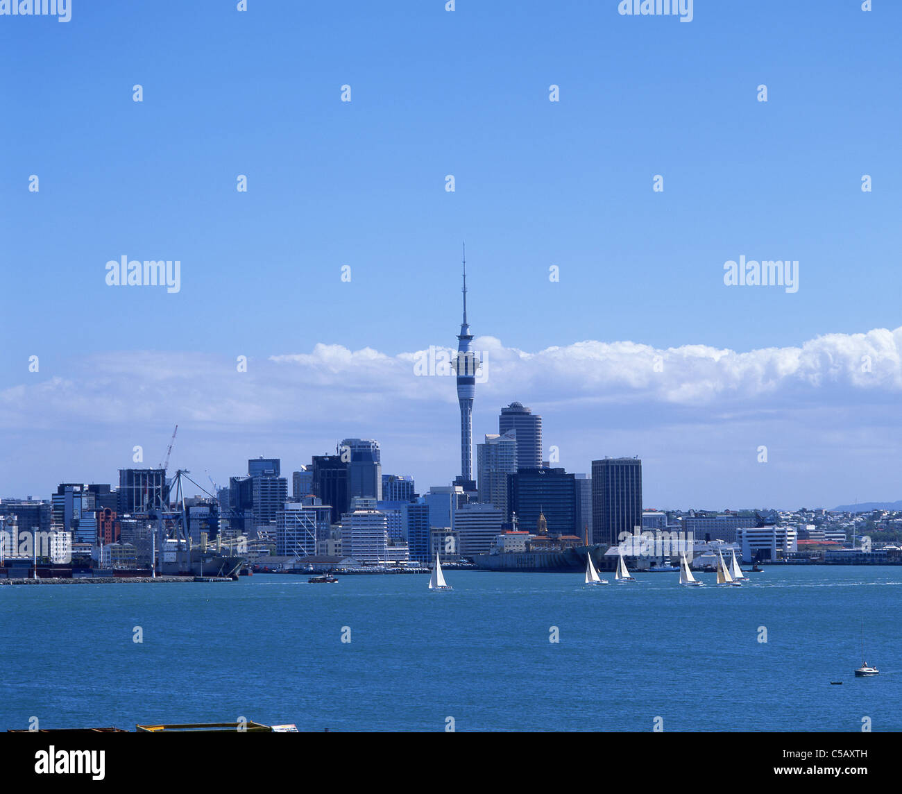 Ansicht von Stadt und Hafen, Auckland, Auckland Region, Nordinsel, Neuseeland Stockfoto
