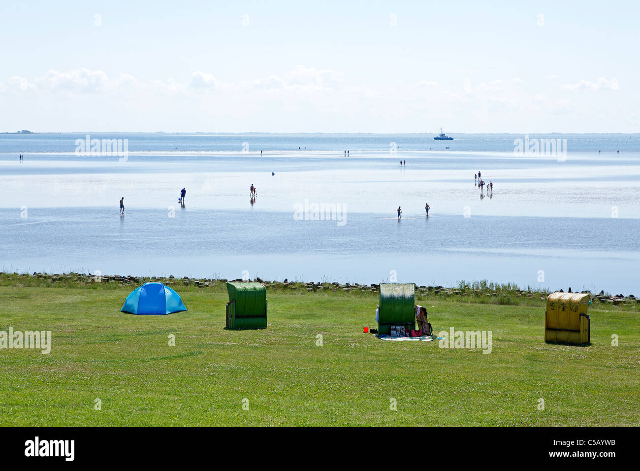 grüner Strand, die Insel Pellworm, Nordfriesland, Schleswig-Holstein, Deutschland Stockfoto