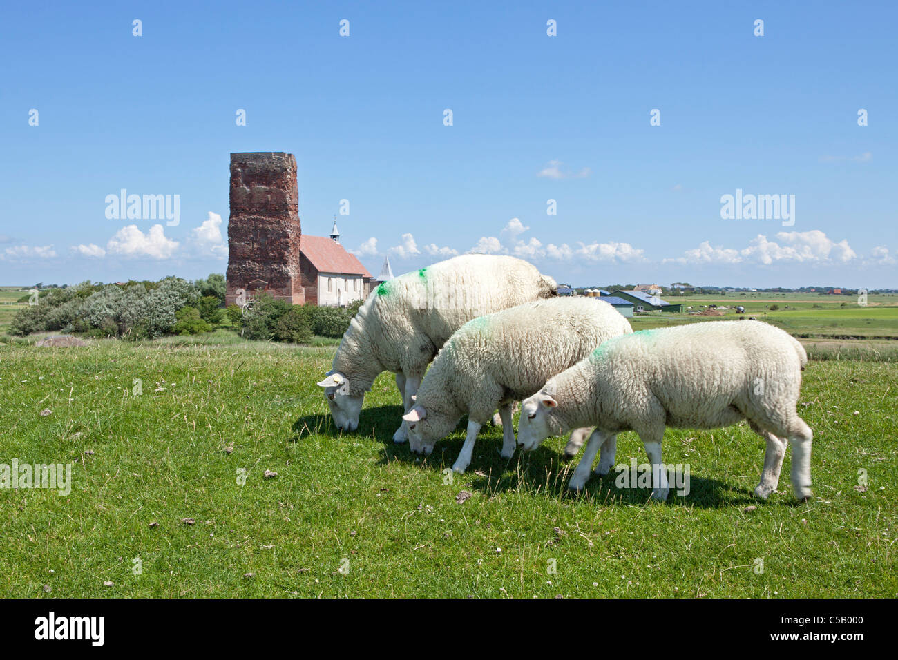 alte Insel Kirche, die Insel Pellworm, Nordfriesland, Schleswig-Holstein, Deutschland Stockfoto