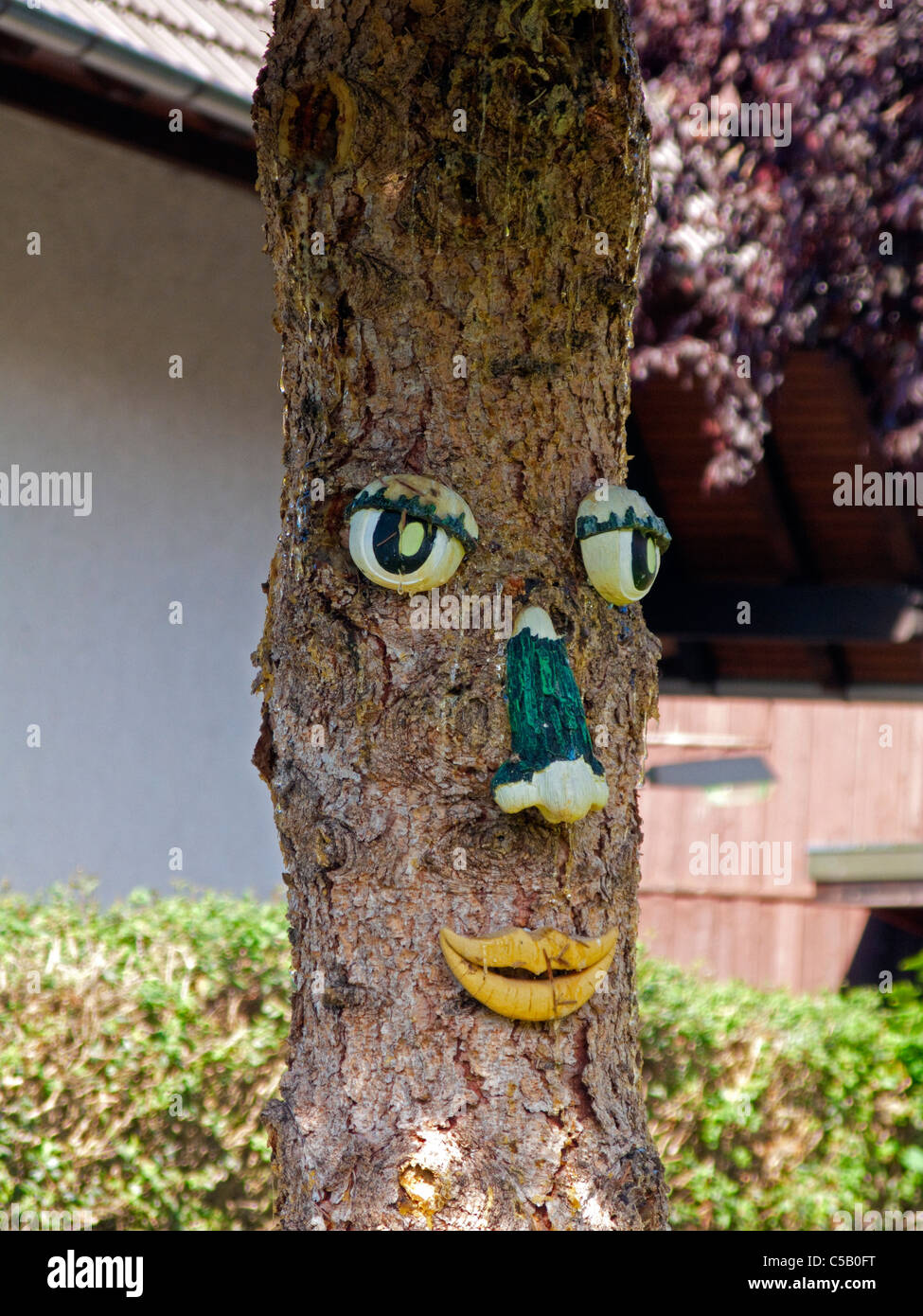 Im Bauerngarten, Sasbachwalden, Schwarzwald, Baumgesicht Baum Gesicht in Sasbachwalden, Schwarzwald Stockfoto
