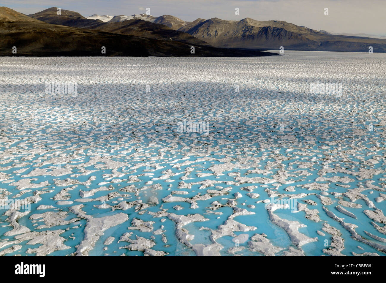 Blaue Schmelze Pools wieder einfrieren auf dem McMurdo-Schelfeis in der Nähe der Dry Valleys in der Ross-Meer-Antarktis Stockfoto