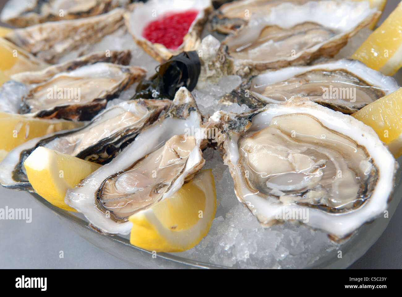 Austern im Eis mit Zitrone und sauce Stockfoto