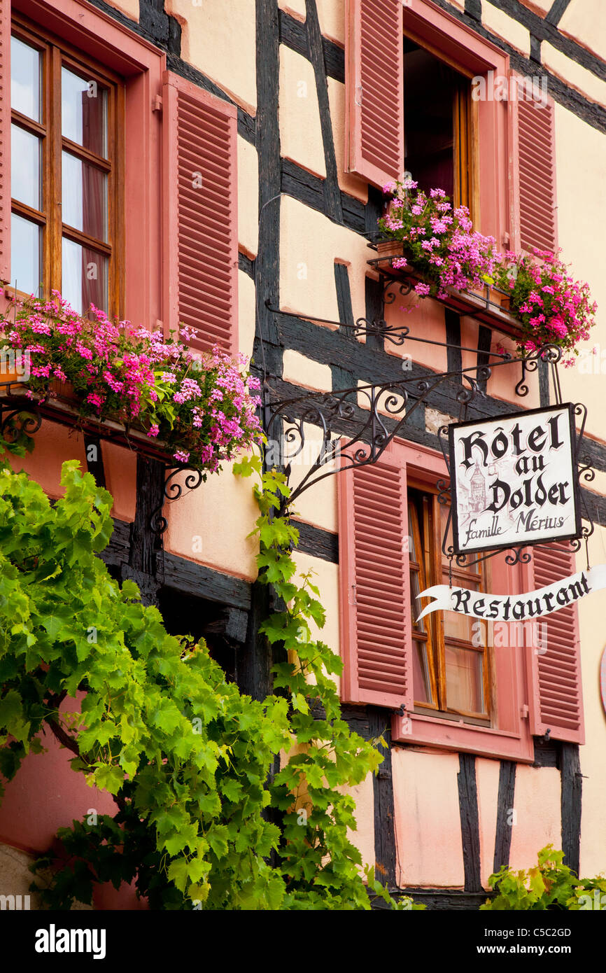 Windows und Blume-Boxen in Riquewihr, entlang der Weinstraße Elsass Haut-Rhin-Frankreich Stockfoto