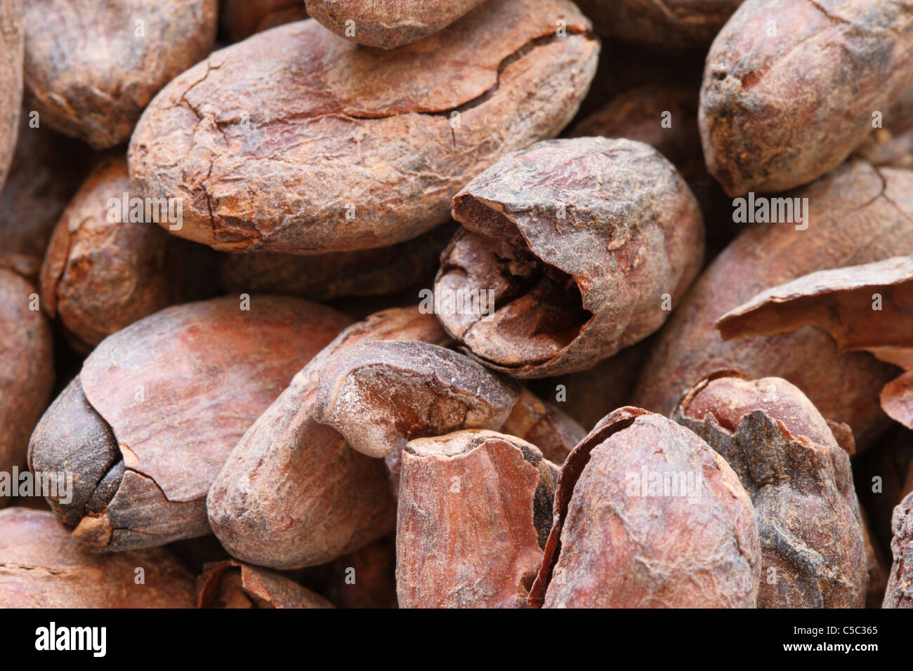 Kakao oder Kakaobohnen Makro-Hintergrundbild Stockfoto