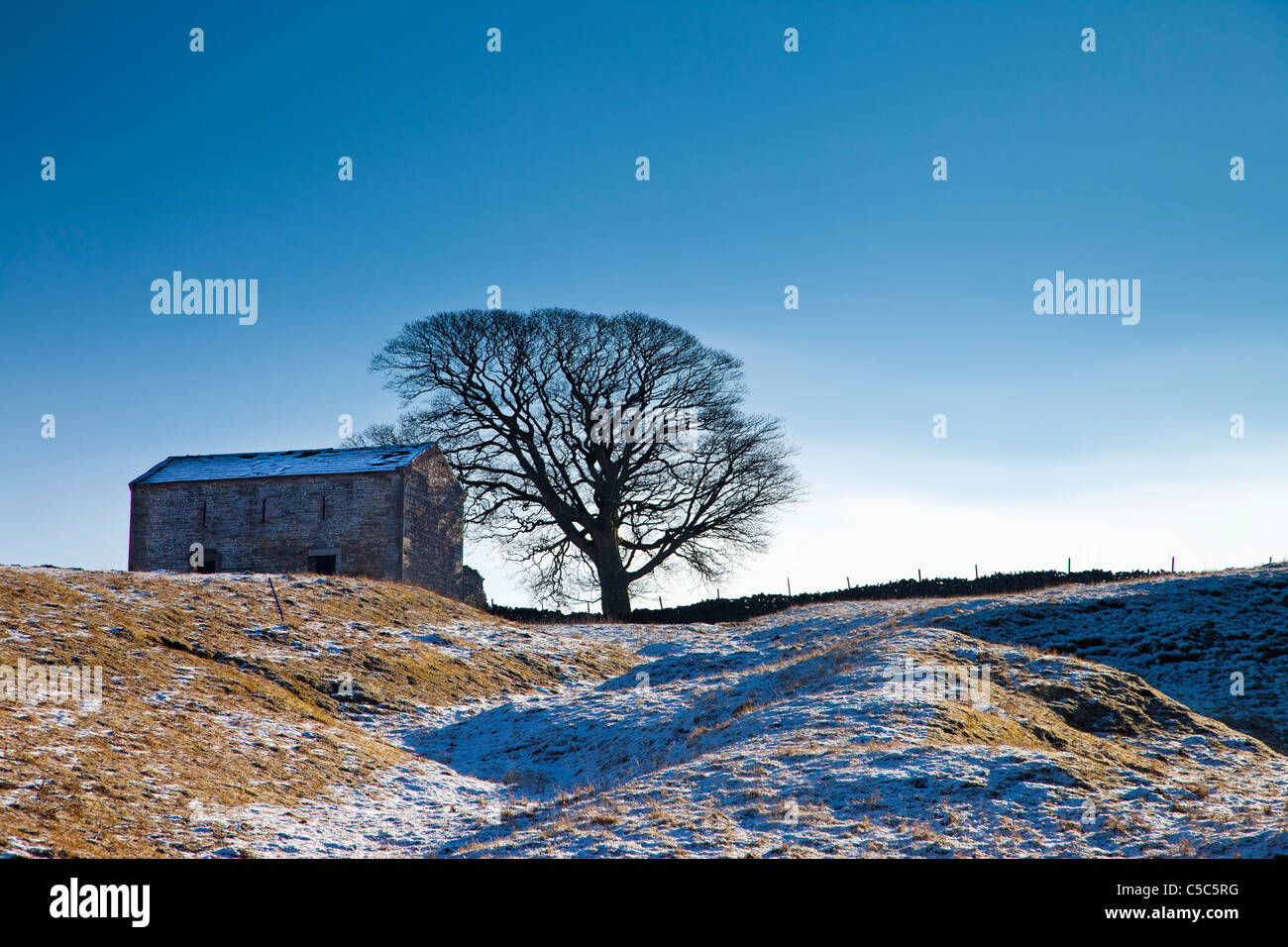 Vergossen Sie In verschneiter Landschaft. Yorkshire Dales, England Stockfoto