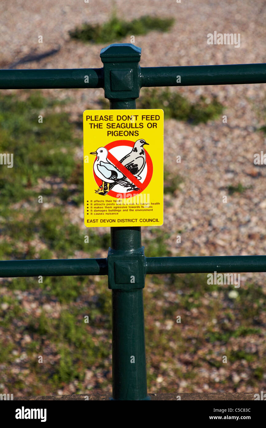 Bitte nicht füttern der Möwen oder Tauben bemerken am Geländer am Strand Stockfoto