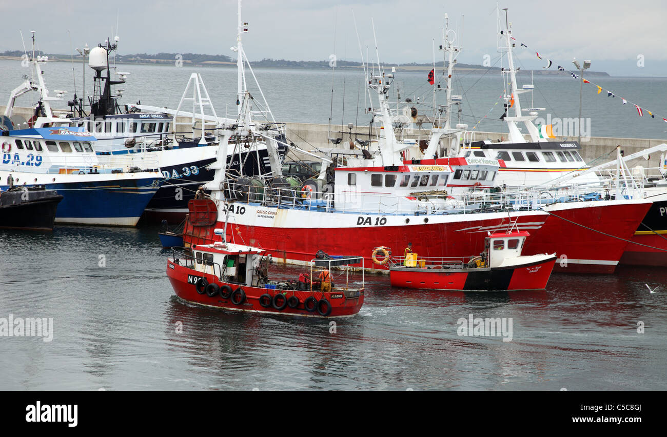 Clogherhead Fischerboote Co. Louth, Irland Stockfoto