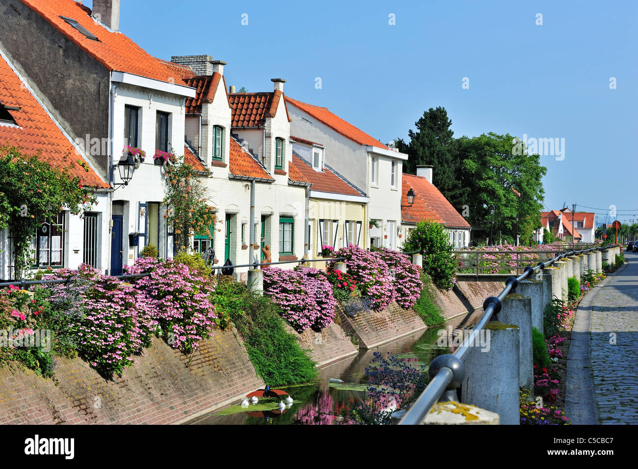 Typischen weißen Häusern entlang des Kanals von Lissewege in das kleine Dorf Lissewege in West-Flandern, Belgien Stockfoto