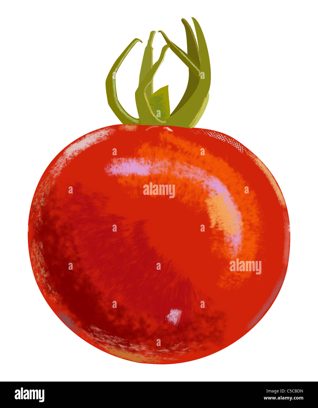 Zeichnung einer roten Tomate. Stockfoto