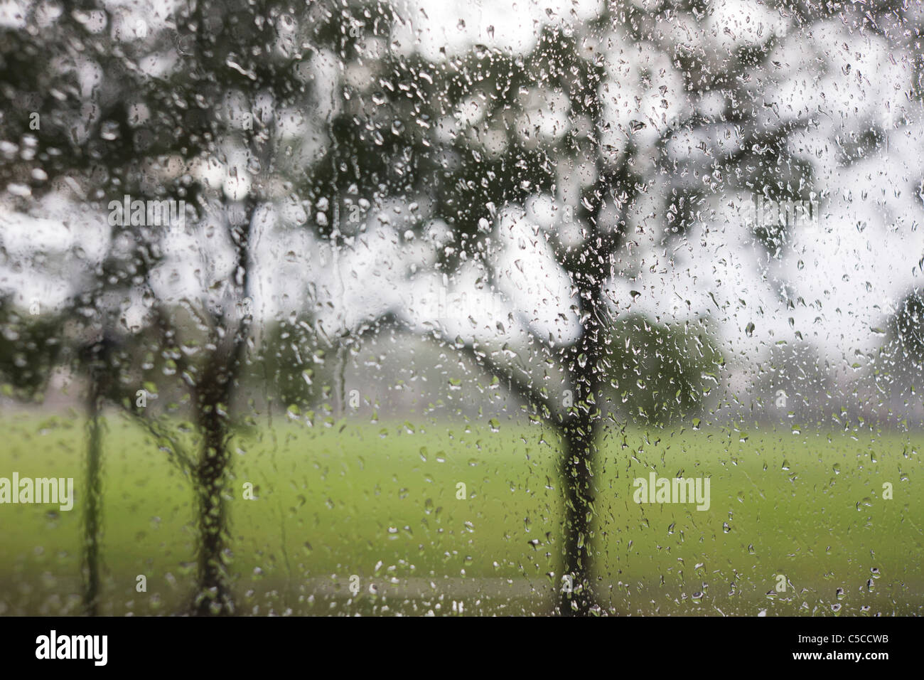 Regentropfen auf einer Glasscheibe mit einem städtischen Park Hintergrund Fenster. Stockfoto
