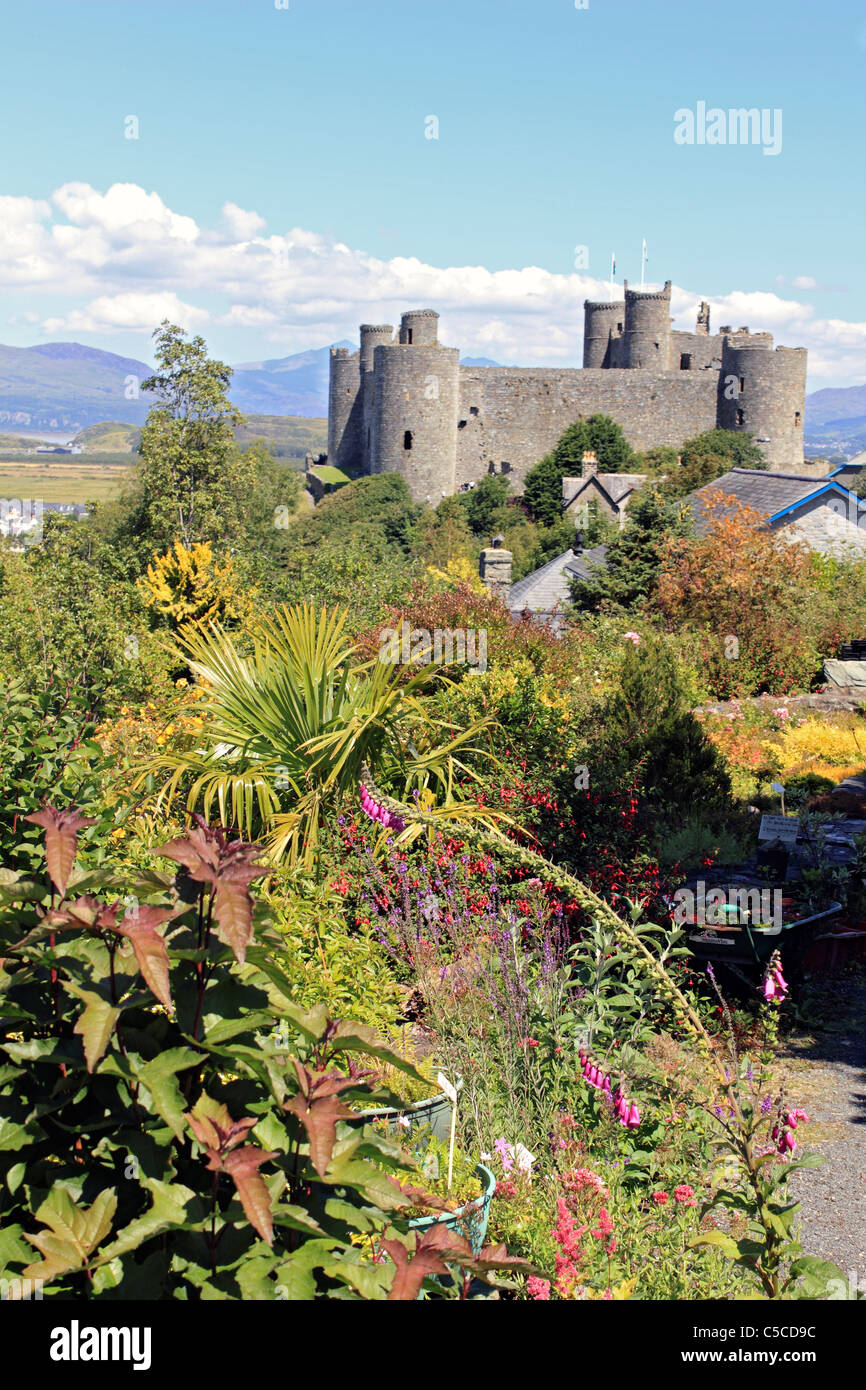 Harlech Castle, befindet sich in Harlech, Gwynedd, Wales UK. Im 13. Jahrhundert erbaut. Stockfoto