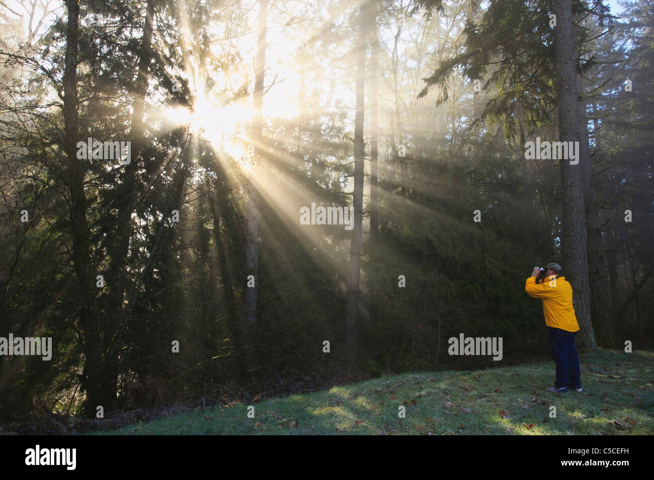 Eine Person fotografiert, die Sonne scheint durch Morgennebel und Bäume; Happy Valley, Oregon, Vereinigte Staaten von Amerika Stockfoto