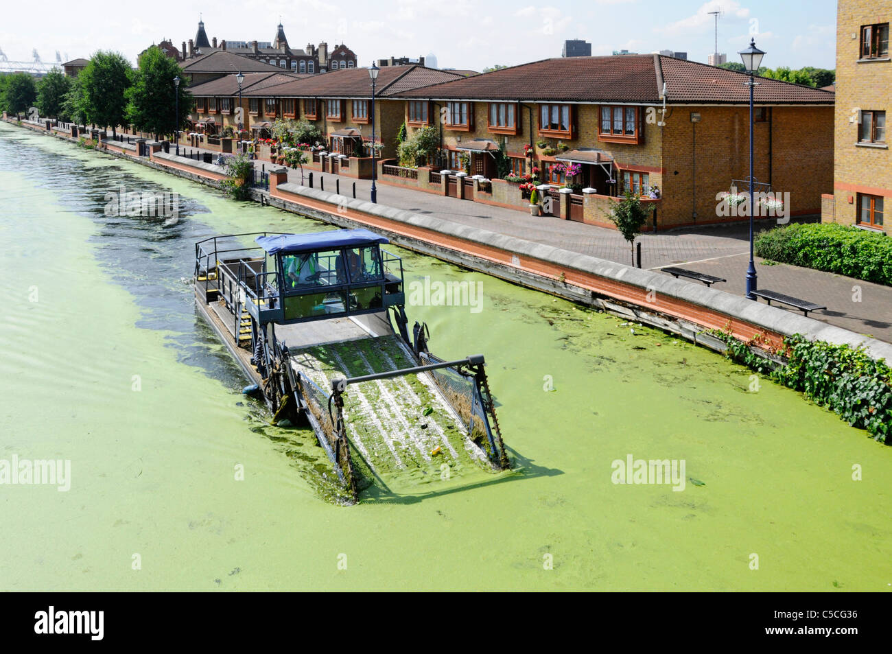 Die „Lee Mean Alga Clean Machine“ im Besitz von British Waterways bei der Arbeit an der Lee Navigation schaufelt grüne heiße Sommer-Algenblüte Hackney London UK Stockfoto