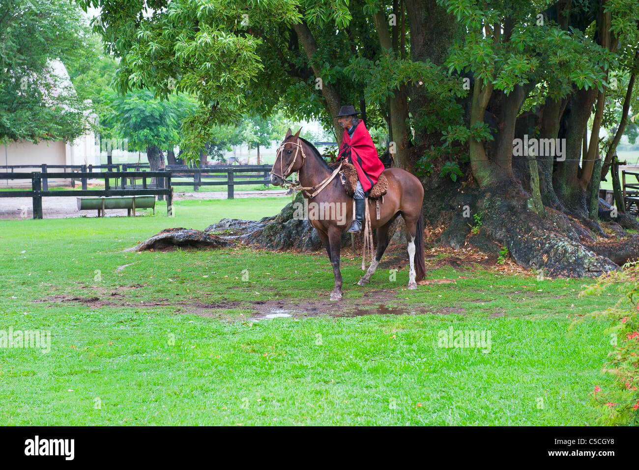 Gaucho mit seinem Pferd, San Antonio de Areco, Provinz Buenos Aires, Argentinien Stockfoto