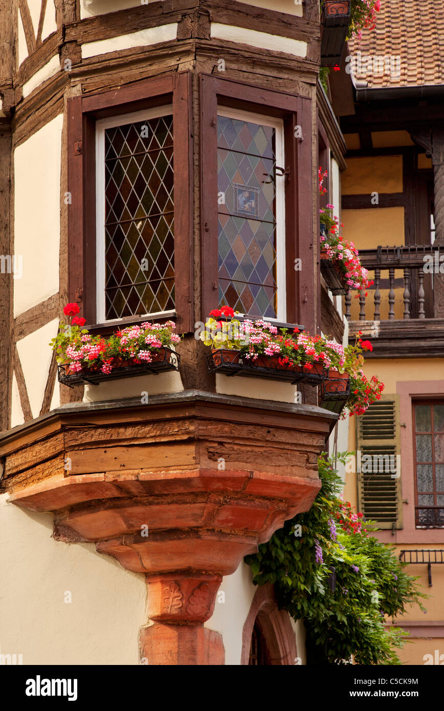 Fenster und Blume-Boxen in Kaysersberg, entlang der Weinstraße, Elsass Haut-Rhin-Frankreich Stockfoto