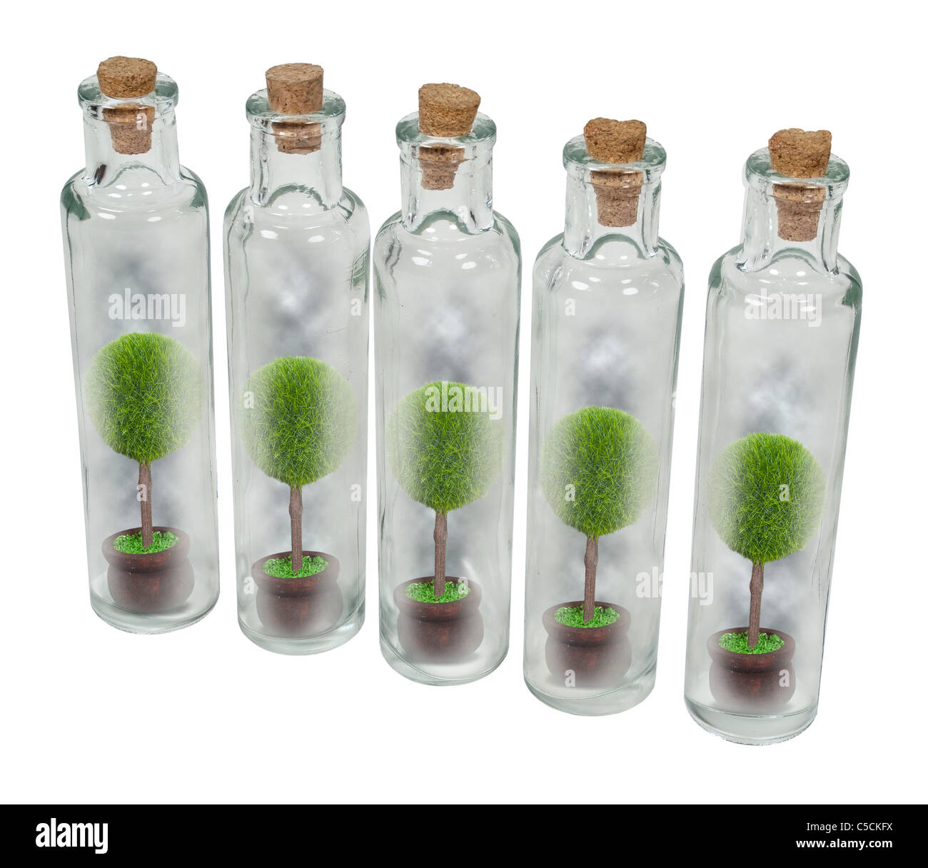 Natur konserviert in Gläsern gezeigt von Bäumen in einzelnen dünnen Longdrinkglas Flaschen mit Korken - Pfad enthalten Stockfoto