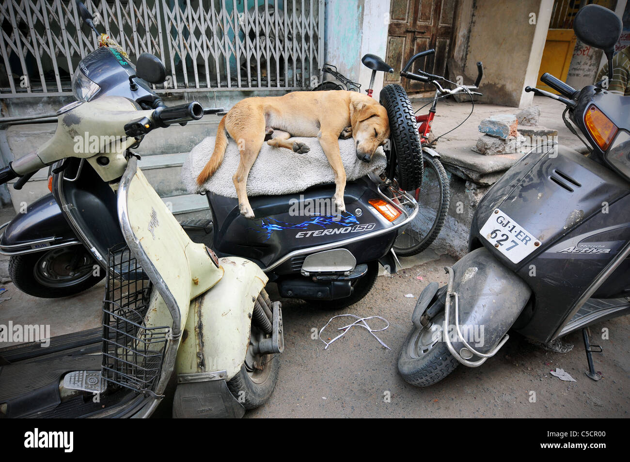 Straßenszene in Ahmedabad, Indien Stockfoto