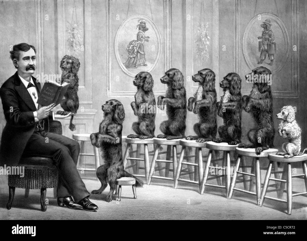 Ausgebildete Hunde - Trainer mit Hunden, ca. 1875 Stockfoto