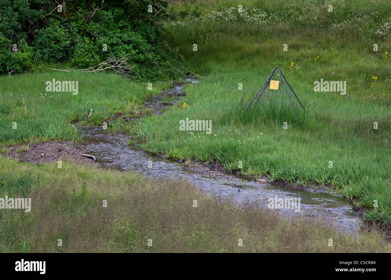 Forest Service Gehäuse, Schafe weiden zu überwachen Stockfoto