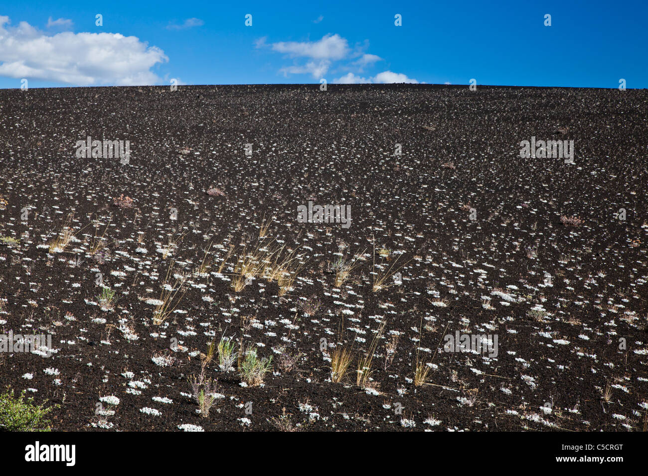 Zerklüftete Gelände im Krater des Moon Nationalmonument and Preserve in Idaho. Stockfoto