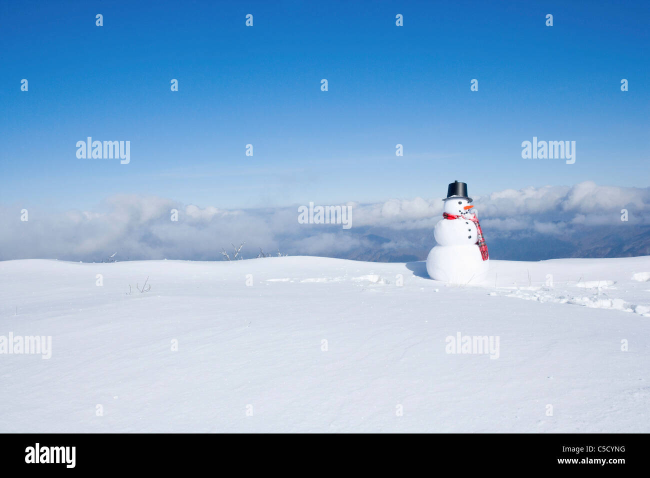 Schneemann stehend auf Schneefeld Stockfoto