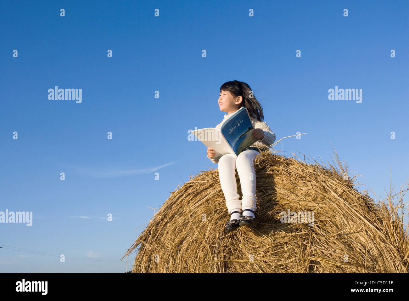 Mädchen lesen ein Buch über die Reis-Garbe Stockfoto