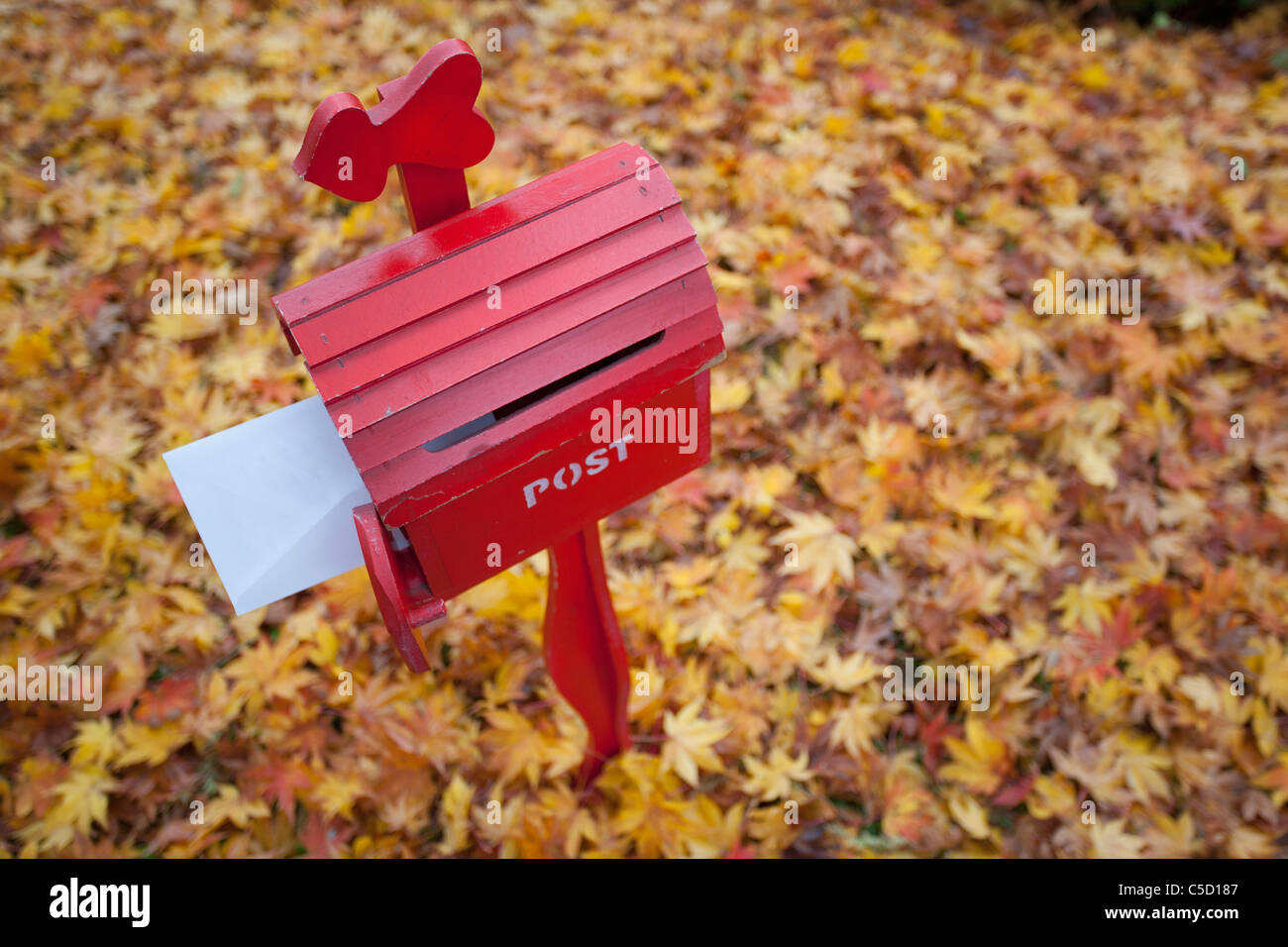 Briefkasten auf Herbst Blätter Bett Stockfoto