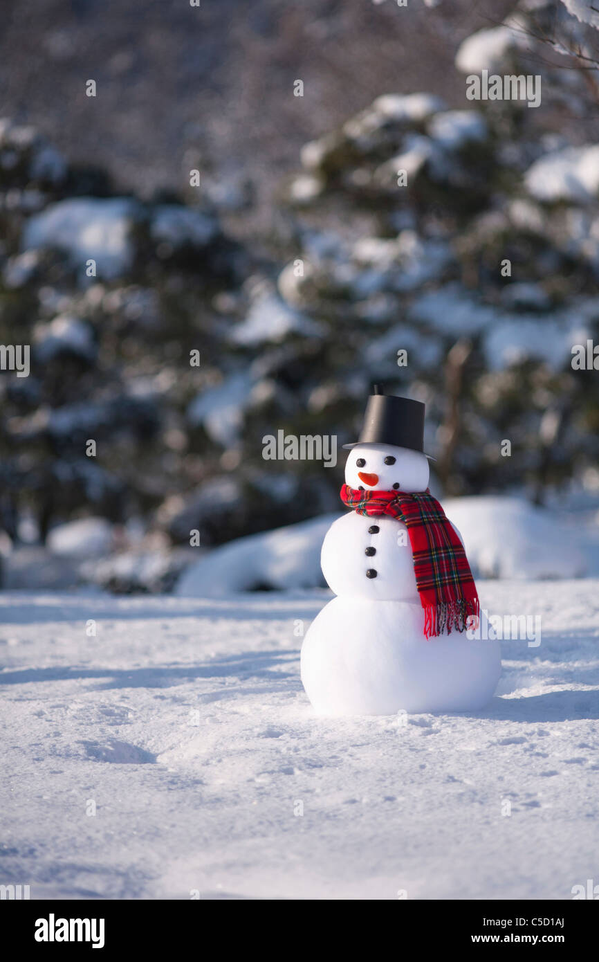 Schneemann stehend auf das Schneefeld Stockfoto