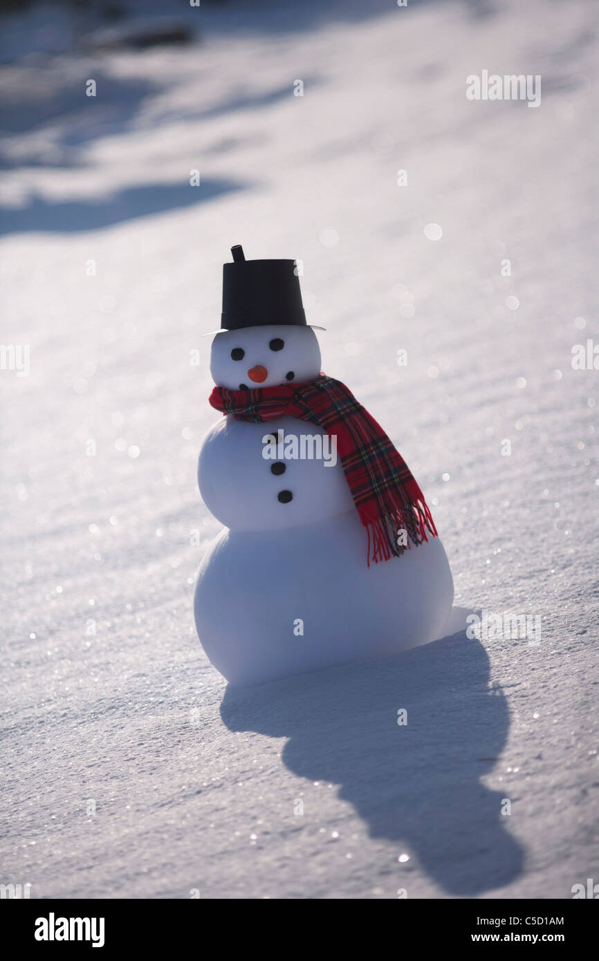 Schneemann stehend auf das Schneefeld Stockfoto