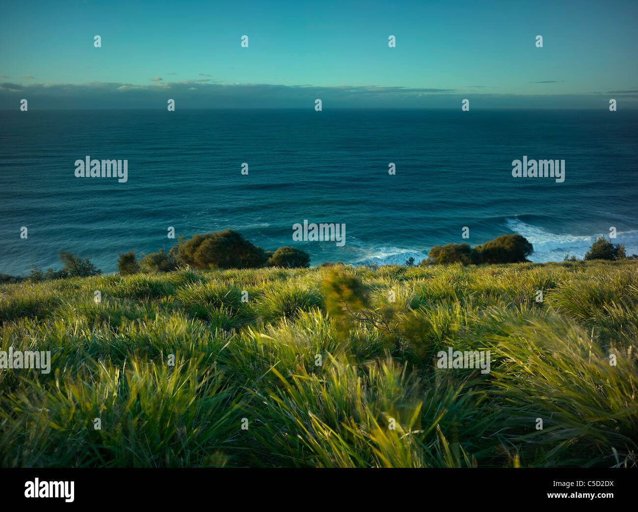 Mit Blick auf den Hängen des kahlen Hügel bis zum Horizont über die Tasmanische See Stockfoto