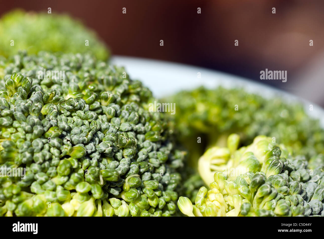 Brocolli Stockfoto