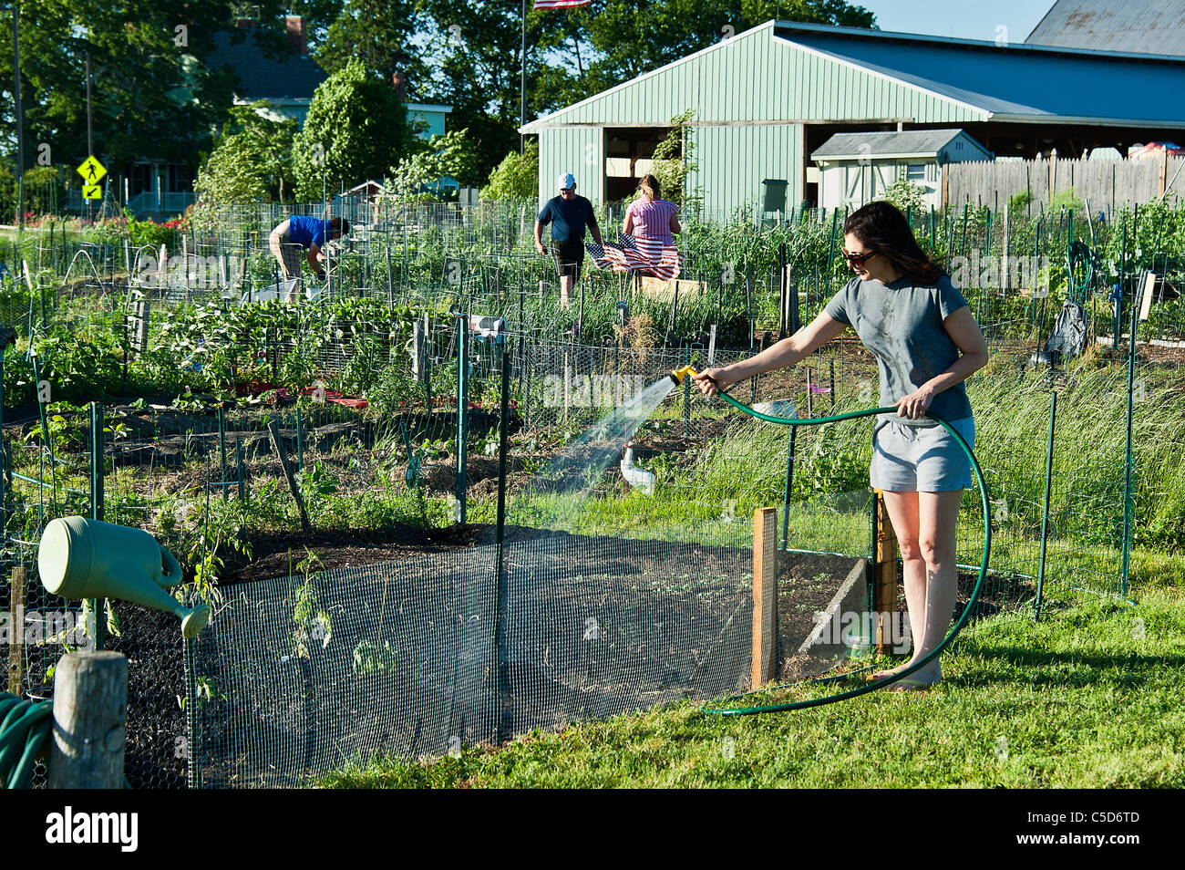 Frau, die ihr Grundstück in einen gemeinsamen Garten Bewässerung. Stockfoto