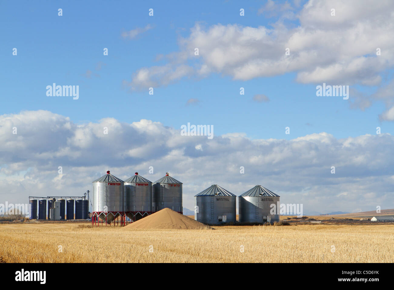 Getreidesilos Landwirtschaft Landwirtschaft Lagerplatz Panzer große große große große Hektar Größe Angelegenheiten Ernte Ertrag Bargeld-Getreideernte Stockfoto