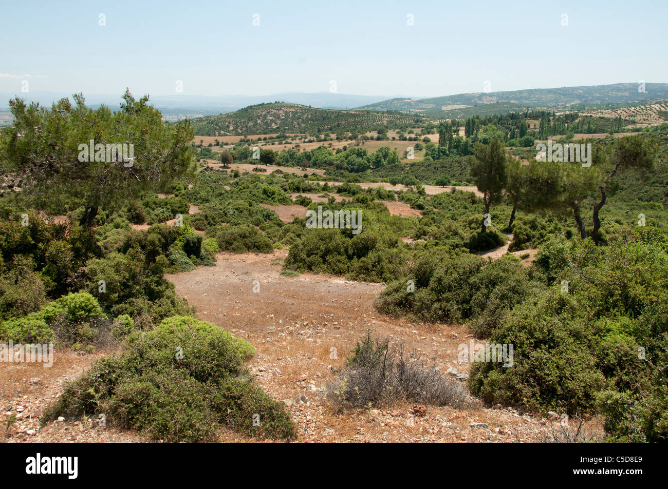 Türkei Assos Behramkale Landschaft Landwirtschaft Feld Stockfoto