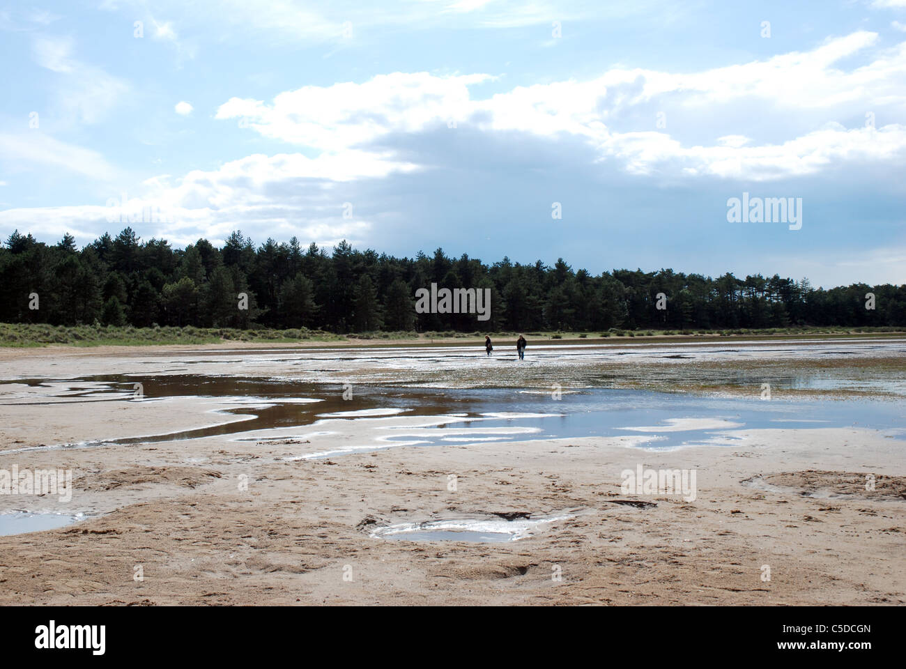 Sanddünen am Holkham, Norfolk Stockfoto