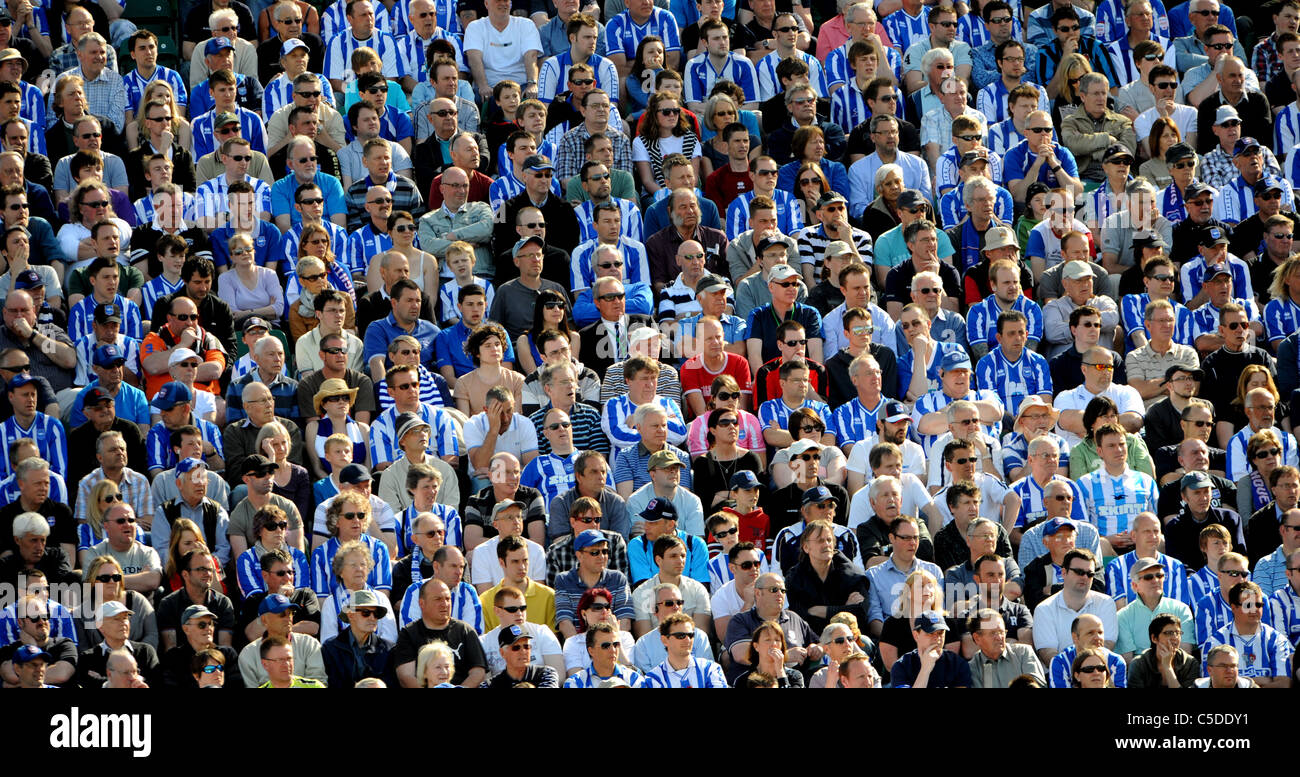 Brighton und Hove Albion Football Fans sitzen in der Sonne beobachten das Spiel im Stadion Withean Stockfoto