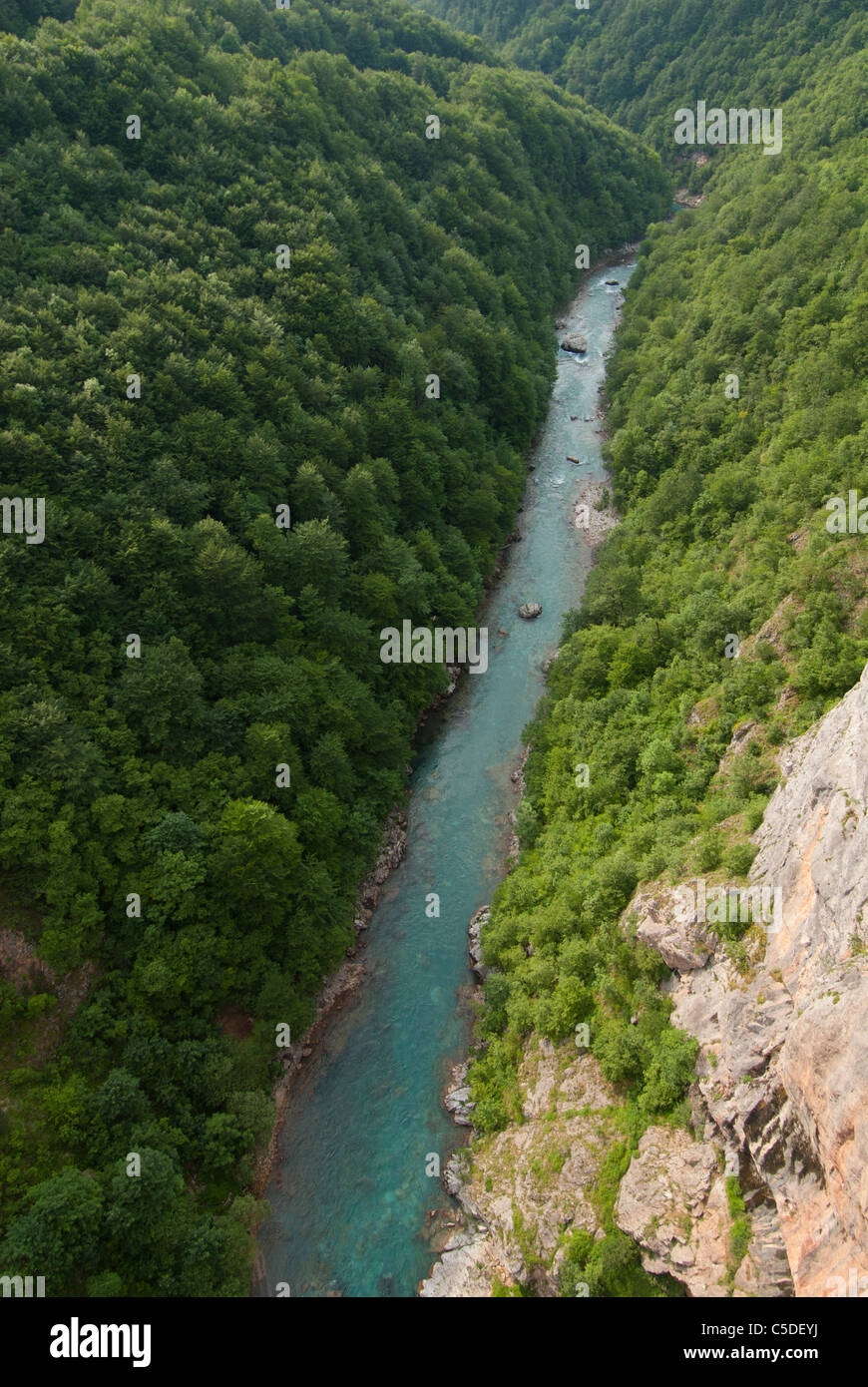 Tara Fluss-Schlucht unterhalb Tara Brücke, Montenegro Stockfoto