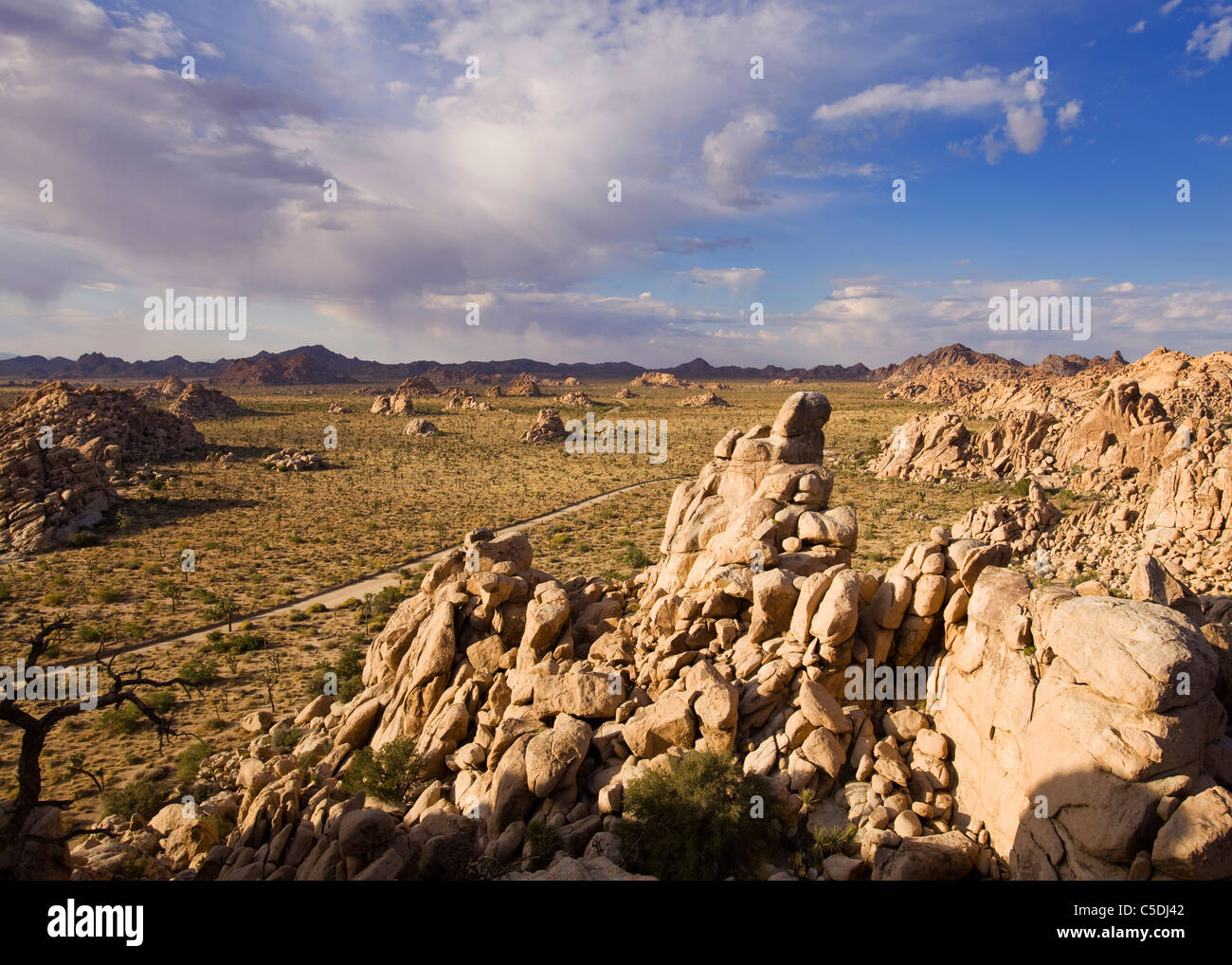 Seltsame Gneis Felsformationen in der Mojave-Wüstenlandschaft - Mojave-Wüste, Kalifornien USA Stockfoto