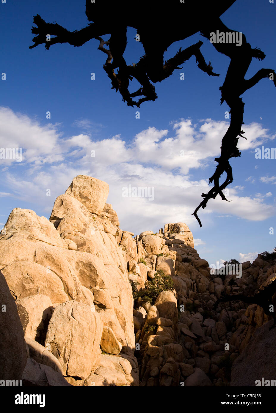 Ein seltsam einzigartig Gneis-Rock-Formation in der Wüste des amerikanischen Südwestens Stockfoto