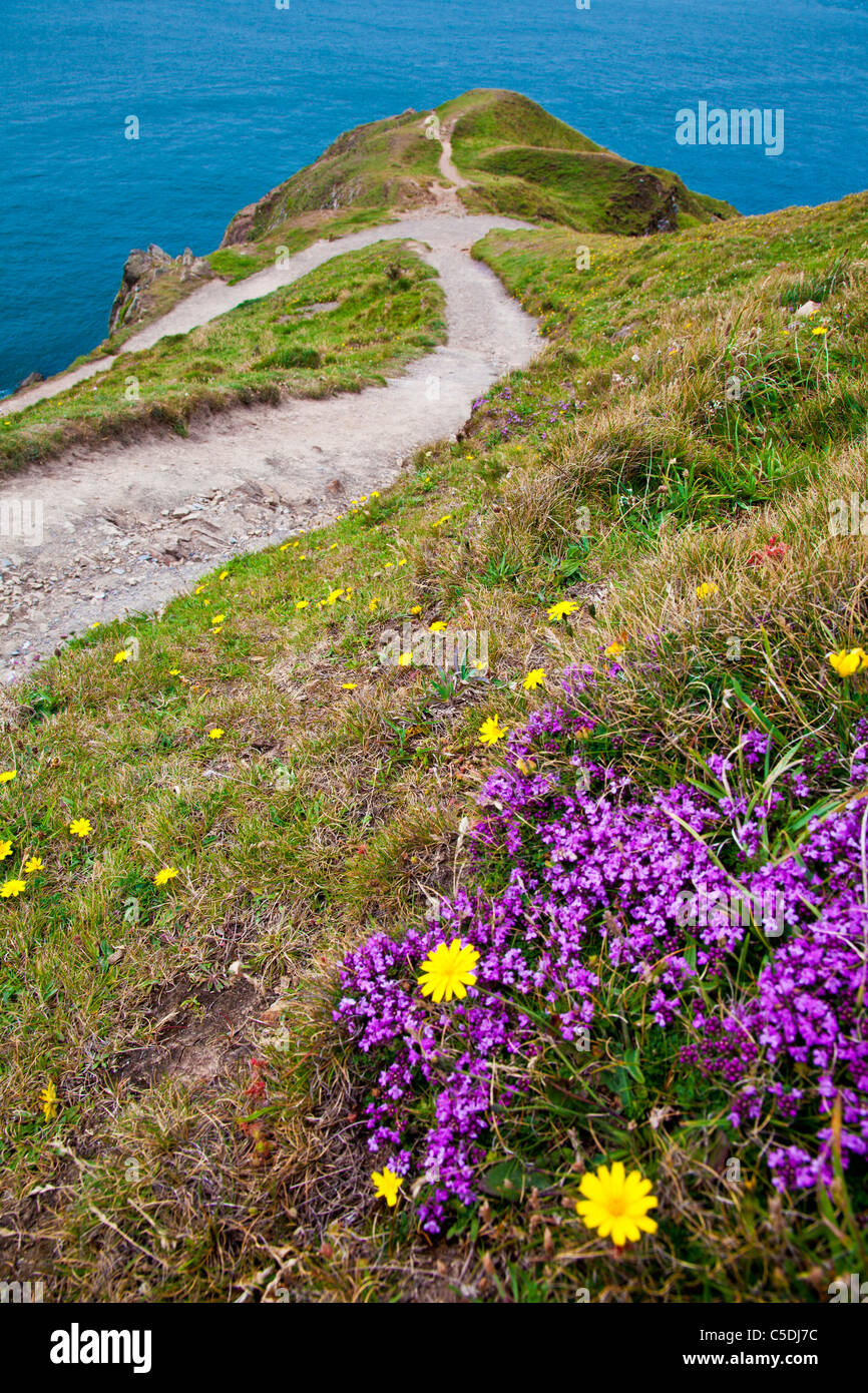 Ansicht von Baggy Punkt einer Landzunge in der Nähe von Croyde, North Devon, England, UK Stockfoto