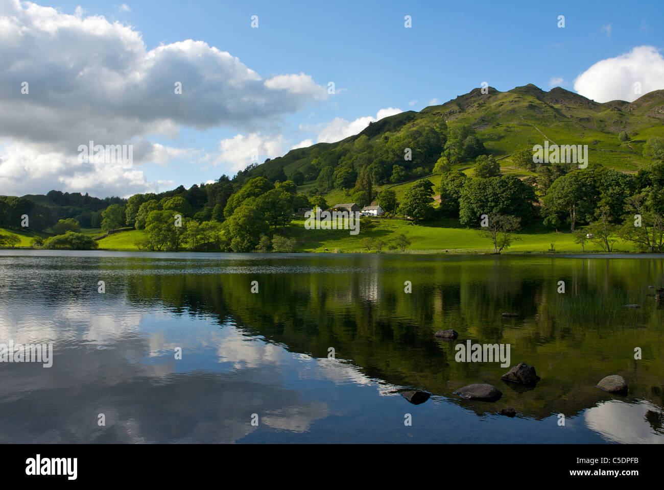 Loughrigg Tarn, Nationalpark Lake District, Cumbria, England UK Stockfoto