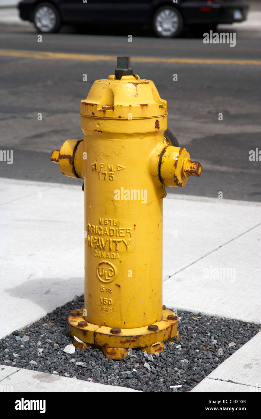 gelbe Brigadier Mcavity Hydranten in der Innenstadt von Toronto Ontario Kanada Stockfoto